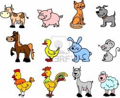 Resultado de imagen para ANIMALES DOMESTICOS