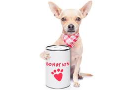 We did not find results for: 7 Pet Food Companies That Give Back To People Pets Petfoodindustry Com
