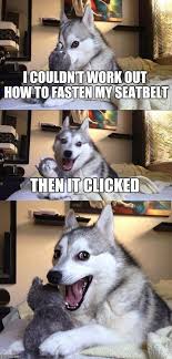 Decode Your Cat S Behavior 17 Things Your Cat Would Love To Tell You Funny Animal Jokes Animal Jokes Funny Dog Memes
