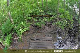 Tanah pamah ialah kawasan yang rata dan beralun. Johornationalparks On Twitter Komposisi Spesies Yang Terdapat Di Hutan Tersebut Juga Adalah Berbeza Sebagai Contoh Terdapat Hutan Meranti Keruing Di Hutan Dipterokarp Pamah Hutan Meranti Balau Di Hutan Dipterokarp Bukit Dan Juga Hutan