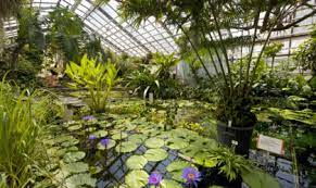See 87 reviews, articles, and 51 photos of botanischer garten, ranked no.3 on tripadvisor among 34 attractions in jena. Garten Und Parks In Jena Jena Paradies Botanischer Garten