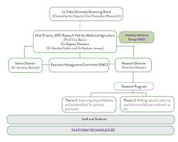 organisational structure and governance arc medicinal