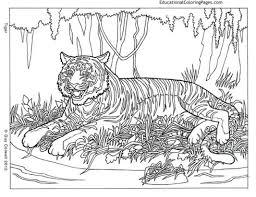 Maybe you would like to learn more about one of these? 20 Free Printable Difficult Animals Coloring Pages For Adults Everfreecoloring Com