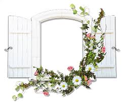 Window With Wild Flowers Flowers Transparent Frame Flower Frame Flowers Frame Background