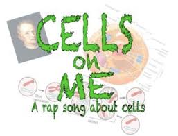 Maybe you would like to learn more about one of these? Cells On Me Lyrics A Rap Song About Cells Rap Songs Science Cells Life Science Classroom