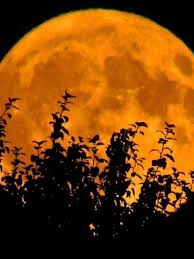 Bright Orange Full Hunter S Moon To Light Up Tennessee Kentucky Skies This Weekend Wztv