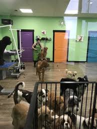 Maybe you would like to learn more about one of these? Petlantis 3127 Central Ave Billings Mt Pet Grooming Mapquest