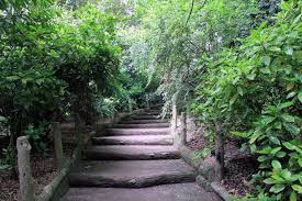 parc des buttes chaumont espace vert jardin public jardins