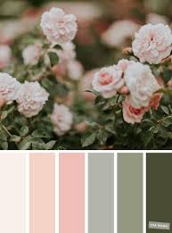 Get some color inspiration with color hunt's spring palettes collection and find the perfect scheme for your design or art project. Pretty Spring Color Schemes Blush Sage Sage Color Palette Color Schemes Spring Color Palette
