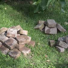 Rundum Nutzlich So Legen Sie Eine Baumscheibe An In 2020 Rasenkanten Gartenbau Pflanzen