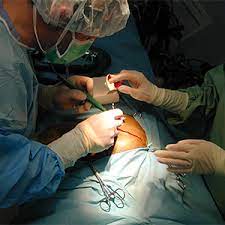 Maybe you would like to learn more about one of these? Votre Clinique Veterinaire Clinique Veterinaire Beaulieu A Poitier 86 Dr Robin Dr Van Der Beek Dr Paris