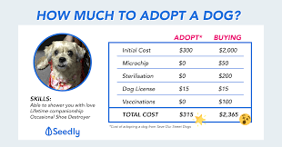 If you're looking for a pet. Adopt Don T Buy And Save 2 000 By Doing So