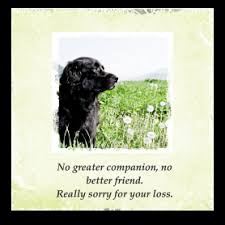 They were lucky to have had you love them so much. Pet Sympathy Cards Simple Sympathy