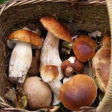 Epingle Sur Recettes Recipes