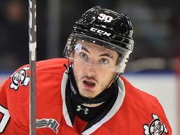 Spitfires continue to add getting Castle, Dionicio in trade with IceDogs  for Ride, O'Flaherty and picks