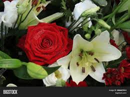 Child ¦ ¦ romantic flowers ¦ ¦ wedding ¦ ¦ opening ceremony ¦ ¦ teacher's day ¦ sympathy. Red Roses White Lilies Image Photo Free Trial Bigstock