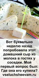 как сделать сыр из козьего молока в домашних условиях Vot Bukvalno Nedelyu Nazad Poprobovala Etot Domashnij Syr Iz Moloka V Gostyah U Sosedki Food Meals Cheese