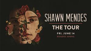 Shawn Mendes The Tour Rogers Arena