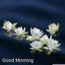 Good Morning Little Munchkin Miss You Already X O S Muah Good Morning Prayer Good Morning Greetings Morning Morning