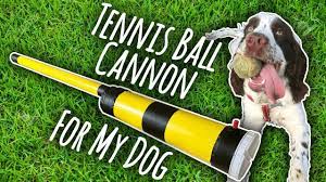 25 best dog ball launchers of 2020 automatic manual pet life. Building My Dog An Automatic Ball Launcher Youtube