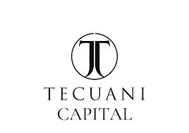 And so may suffer during an economic crisis as a result. Stock Market Crash Imminent How Will Bitcoin React By Tecuani Capital The Capital Medium