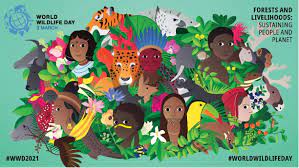 World creativity and innovation day. Un World Wildlife Day Highlights Role Of Indigenous Peoples And Local Communities Livelihoods And Knowledge In The Conservation Of Forests Species And Ecosystems United Nations Development Programme