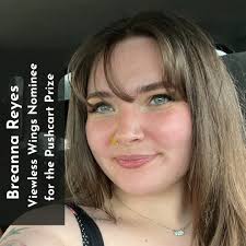 We are excited to announce our six nominees for the Pushcart Prize 2026!  Head over the ViewlessWings.com/blog to read more about these incredible  poets! Each nominated poet appeared