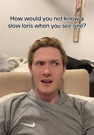 To be honest I probably would’ve held it too and died from it biting me.  But now I know to never hold a #slowloris in #Thailand Grateful for this  new info! 🙂‍↕️