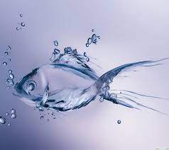 Free Download Animated Wallpaper For Android Phone Water Art Fish Wallpaper Fish Background