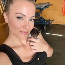 Kittens in need of rescue in Bell Gardens