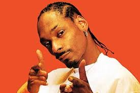 Summadayze, Shore Thing line-ups announced