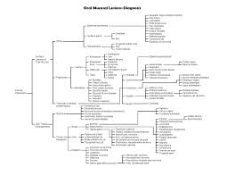 dentistry and medicine diagnosis chart for oral mucosal