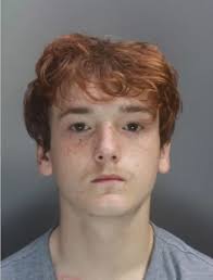 Teen tearaway who said he 'wanted to change' broke into homes just a month  later