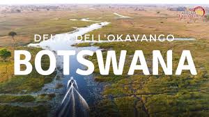 Maybe you would like to learn more about one of these? Viaggio In Botswana Nel Delta Dell Okavango African Explorer Youtube