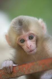 Profil de Paul Blinco (blin6)