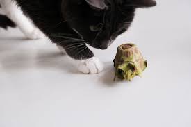 As much as we love to spoil our dogs and cats with toys, treats, and even fancy rain gear, the easy life of a domesticated pet can have its downfalls — especially when it comes to meals. Try This Diy Puzzle Feeders For Cats