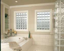 Frosted Blocks Like These Are Great For Bathroom Privacy Especially When They Match The Shower Glass Block Shower Glass Block Windows Bathroom Window Glass