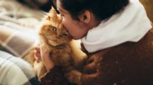 An emotional support animal (esa) is a person's pet that has been prescribed by a person's licensed therapist, psychologist, or psychiatrist (any licensed mental health professional). What Is An Emotional Support Animal