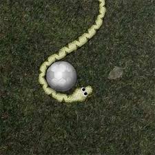 Snake games let you slither around like a snake, often picking up bits of food and growing in size. Snake Game Google Play Online Shakal Blog
