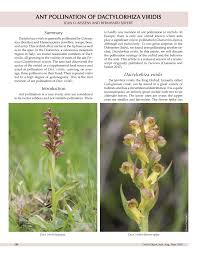 Pollination is the transfer of pollen from a male part of a plant to a female part of a plant, later enabling fertilisation and the production of seeds, most often by an animal or by wind. Pdf Ant Pollination Of Dactylorhiza Viridis
