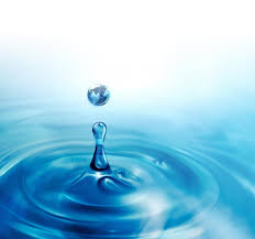 You Are Not A Drop In The Ocean You Are The Entire Ocean In A Drop Michael S House Treatment Centers