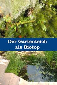 Biotop Gartenteich Gartenbob De Der Garten Ratgeber Gartenteich Garten Anlegen Teich