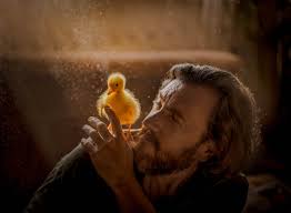 Main. Svetlana Korneliuk, photographer in Yekaterinburg