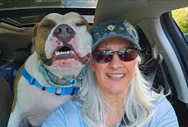 Heartworm Treatment Success and Support