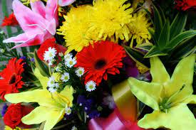 Get latest info on fresh flower, suppliers, manufacturers, wholesalers, traders, wholesale suppliers with fresh flower prices for buying. Floral Lewis Fresh Market