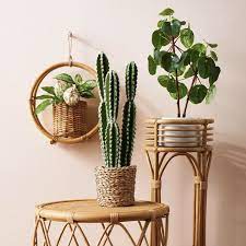 target s opalhouse released artificial plants that actually look real faux decor fake bedroom clay pot holder for wall