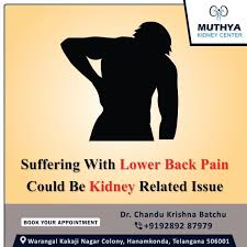 Pin On Muthya Kidney Center