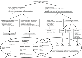 Diagnosis Flow Chart For The Identification Of Visible