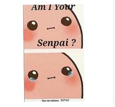 Da Kawaii Potato Is So Kawaii Cute Potato Kawaii Potato Potato Funny