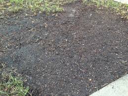 For grass seed to germinate and grow strong, the soil must have the right ph. What Does Too Much Grass Seed Look Like